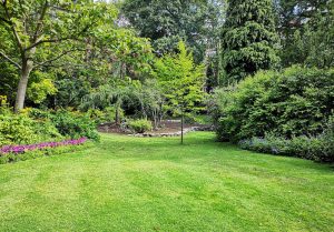 Optimiser l'expérience du jardin à Montdoumerc